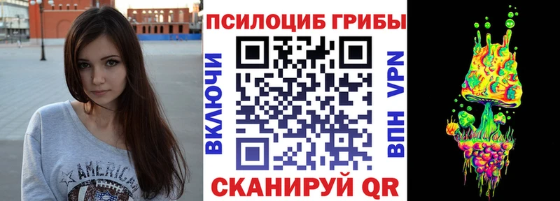 Псилоцибиновые грибы MAGIC MUSHROOMS  где найти наркотики  Красноармейск 