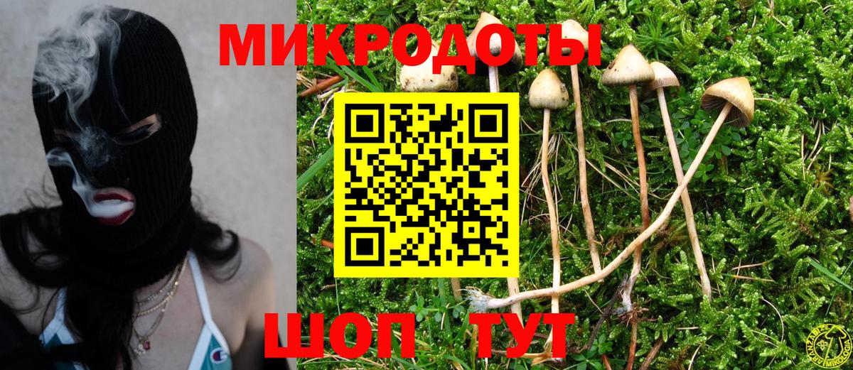 Псилоцибиновые грибы MAGIC MUSHROOMS  Вход с VPN  Псилоцибиновые грибы MAGIC MUSHROOMS  Красноармейск 